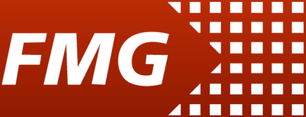 FMG Electronics